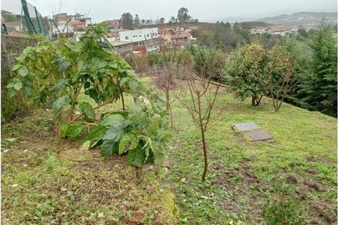 Terra a Roriz, Porto, Roriz - € 35.000 | Ref: 120761039-382 - foto 5