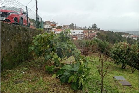 Terra a Roriz, Porto, Roriz - € 35.000 | Ref: 120761039-382 - foto 6