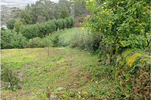 Terra a Roriz, Porto, Roriz - € 35.000 | Ref: 120761039-382 - foto 7