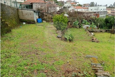 Terra a Roriz, Porto, Roriz - € 35.000 | Ref: 120761039-382 - foto 8