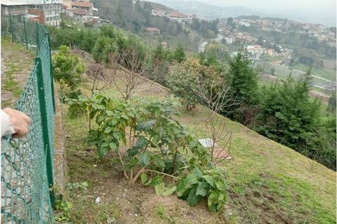 Terra a Roriz, Porto, Roriz - € 35.000 | Ref: 120761039-382 - foto 10