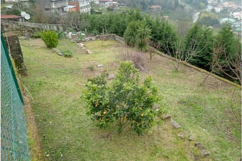 Terra a Roriz, Porto, Roriz - € 35.000 | Ref: 120761039-382 - foto 11