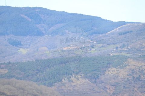 Villa a Vinhais, Braganca, Vinhais - € 57.500 | Ref: 121751324-287 - foto 21