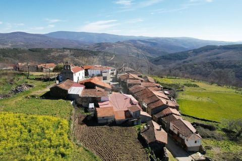 Villa a Vinhais, Braganca, Vinhais - € 57.500 | Ref: 121751324-287 - foto 12