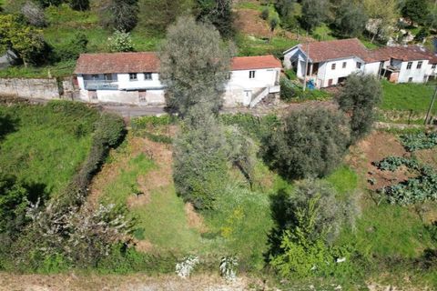 Villa i Cabeceiras de Basto, Braga, Cabeceiras de Basto - € 89.500 | Ref: 121751336-3 - foto 4