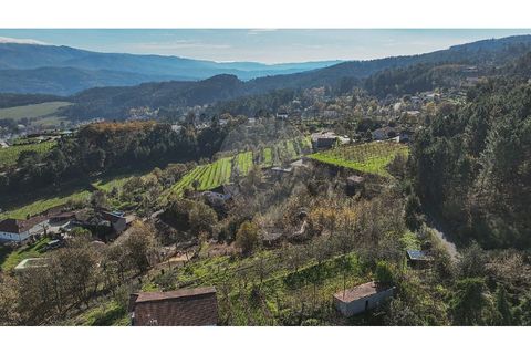 Villa i Celorico de Basto, Braga, Celorico de Basto - € 49.900 | Ref: 126221008-399 - foto 3