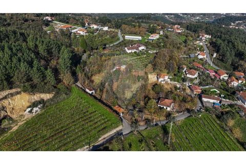 Villa i Celorico de Basto, Braga, Celorico de Basto - € 49.900 | Ref: 126221008-399 - foto 8