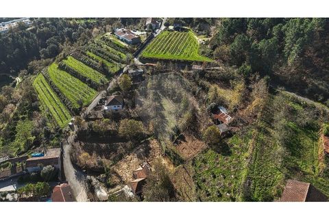 Villa i Celorico de Basto, Braga, Celorico de Basto - € 49.900 | Ref: 126221008-399 - foto 9