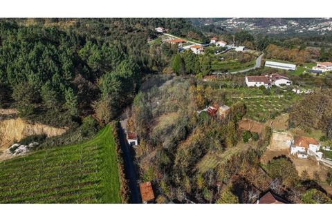Villa i Celorico de Basto, Braga, Celorico de Basto - € 49.900 | Ref: 126221008-399 - foto 11