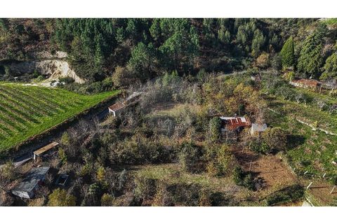 Villa i Celorico de Basto, Braga, Celorico de Basto - € 49.900 | Ref: 126221008-399 - foto 12