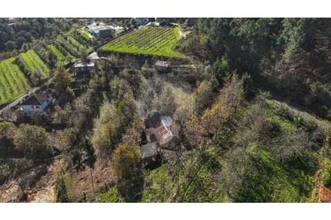 Villa i Celorico de Basto, Braga, Celorico de Basto - € 49.900 | Ref: 126221008-399 - foto 13