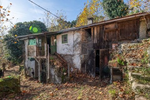 Villa i Celorico de Basto, Braga, Celorico de Basto - € 49.900 | Ref: 126221008-399 - foto 14