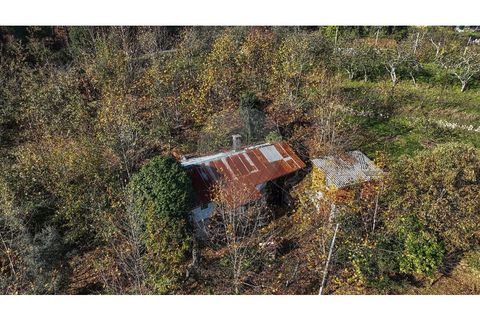 Villa i Celorico de Basto, Braga, Celorico de Basto - € 49.900 | Ref: 126221008-399 - foto 15