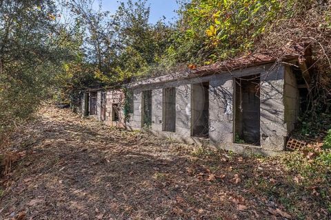 Villa i Celorico de Basto, Braga, Celorico de Basto - € 49.900 | Ref: 126221008-399 - foto 17