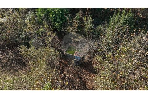 Villa i Celorico de Basto, Braga, Celorico de Basto - € 49.900 | Ref: 126221008-399 - foto 18