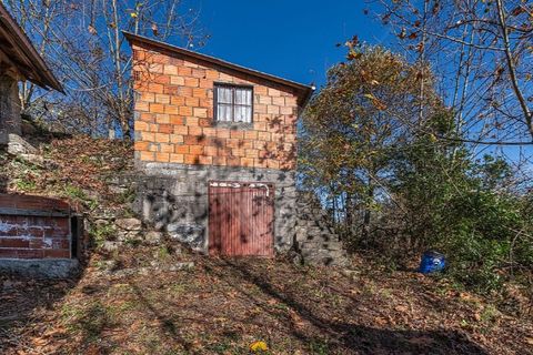 Villa i Celorico de Basto, Braga, Celorico de Basto - € 49.900 | Ref: 126221008-399 - foto 19