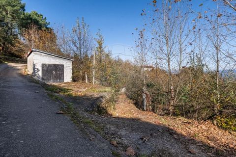 Villa i Celorico de Basto, Braga, Celorico de Basto - € 49.900 | Ref: 126221008-399 - foto 20