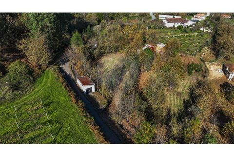 Villa i Celorico de Basto, Braga, Celorico de Basto - € 49.900 | Ref: 126221008-399 - foto 22