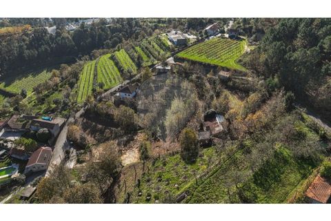 Villa i Celorico de Basto, Braga, Celorico de Basto - € 49.900 | Ref: 126221008-399 - foto 23