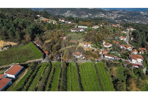 Villa i Celorico de Basto, Braga, Celorico de Basto - € 49.900 | Ref: 126221008-399 - foto 24