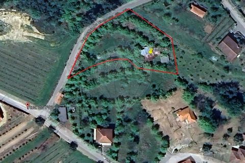 Villa i Celorico de Basto, Braga, Celorico de Basto - € 49.900 | Ref: 126221008-399 - foto 25