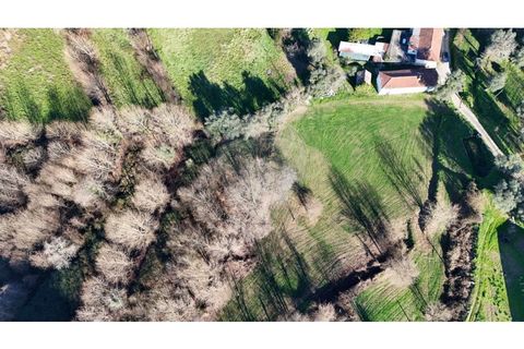 Villa a Sernancelhe, Viseu, Sernancelhe - € 295.000 | Ref: 126311008-41 - foto 19