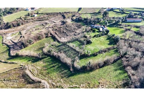 Villa a Sernancelhe, Viseu, Sernancelhe - € 295.000 | Ref: 126311008-41 - foto 21