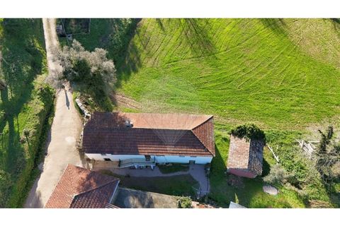 Villa a Sernancelhe, Viseu, Sernancelhe - € 295.000 | Ref: 126311008-41 - foto 23