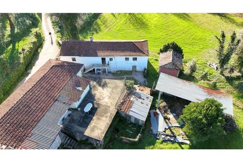 Villa a Sernancelhe, Viseu, Sernancelhe - € 295.000 | Ref: 126311008-41 - foto 24