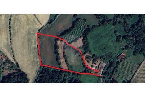 Villa a Sernancelhe, Viseu, Sernancelhe - € 295.000 | Ref: 126311008-41 - foto 18