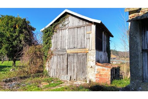 Villa a Sernancelhe, Viseu, Sernancelhe - € 390.000 | Ref: 126311008-42 - foto 21
