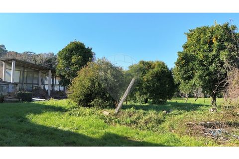 Villa a Sernancelhe, Viseu, Sernancelhe - € 390.000 | Ref: 126311008-42 - foto 25