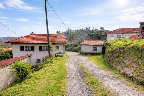 Villa a Alvite e Passos, Braga, Alvite e Passos - € 215.000 | Ref: 126311008-48 - foto 4