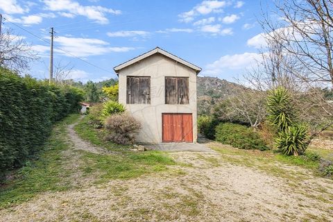 Villa a Alvite e Passos, Braga, Alvite e Passos - € 215.000 | Ref: 126311008-48 - foto 6