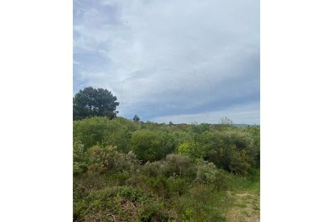 Helårsgrund i Valpacos, Vila Real, Valpacos - € 14.250 | Ref: 126381014-39 - foto 8