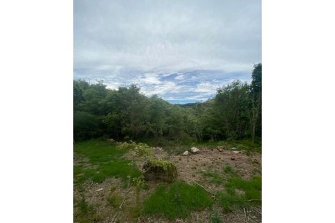 Helårsgrund i Valpacos, Vila Real, Valpacos - € 14.250 | Ref: 126381014-39 - foto 6