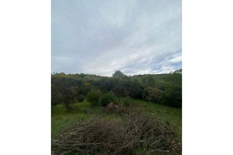 Helårsgrund i Valpacos, Vila Real, Valpacos - € 14.250 | Ref: 126381014-39 - foto 5