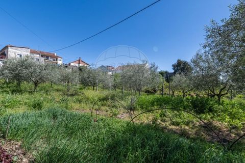 Villa a Valpacos, Vila Real, Valpacos - € 349.900 | Ref: 126381029-3 - foto 15