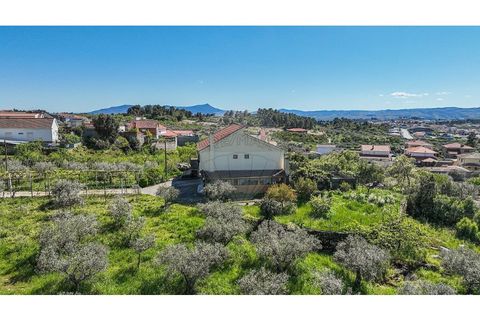 Villa a Valpacos, Vila Real, Valpacos - € 349.900 | Ref: 126381029-3 - foto 34