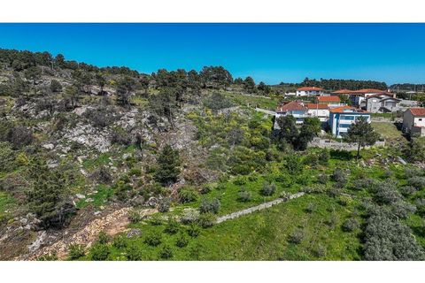 Villa a Valpacos, Vila Real, Valpacos - € 349.900 | Ref: 126381029-3 - foto 42