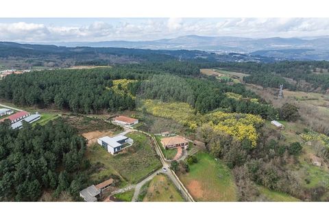 Helårsgrund i Chaves, Vila Real, Chaves - € 21.900 | Ref: 126381019-9 - foto 2