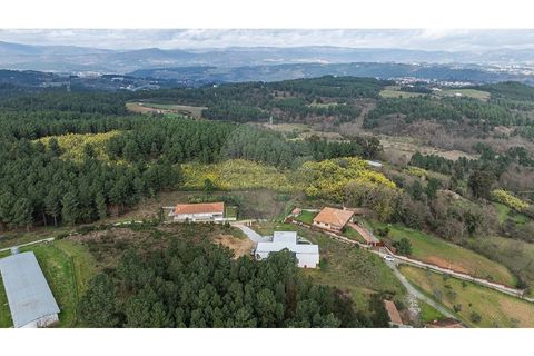 Helårsgrund i Chaves, Vila Real, Chaves - € 21.900 | Ref: 126381019-9 - foto 3