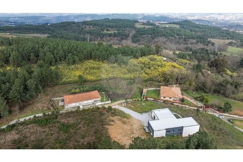 Helårsgrund i Chaves, Vila Real, Chaves - € 21.900 | Ref: 126381019-9 - foto 5