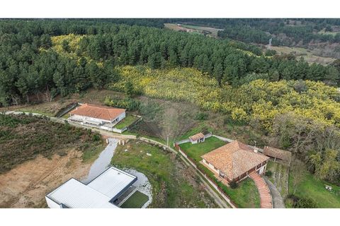 Helårsgrund i Chaves, Vila Real, Chaves - € 21.900 | Ref: 126381019-9 - foto 6