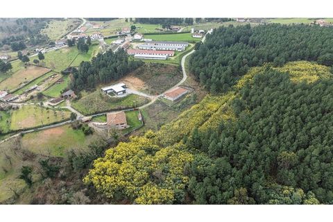 Helårsgrund i Chaves, Vila Real, Chaves - € 21.900 | Ref: 126381019-9 - foto 11