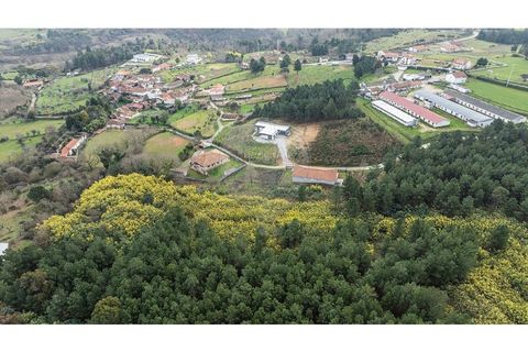 Helårsgrund i Chaves, Vila Real, Chaves - € 21.900 | Ref: 126381019-9 - foto 12