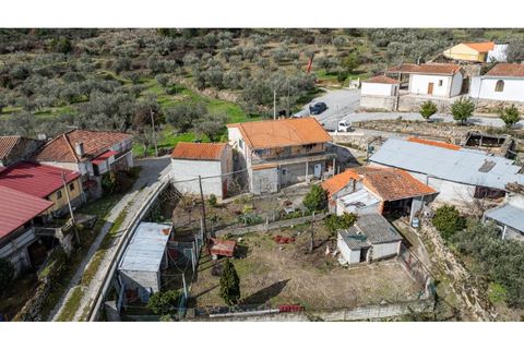 Villa a Valpacos, Vila Real, Valpacos - € 185.000 | Ref: 126381026-4 - foto 25