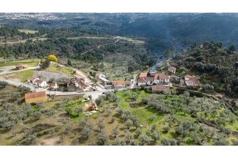 Villa a Valpacos, Vila Real, Valpacos - € 185.000 | Ref: 126381026-4 - foto 17