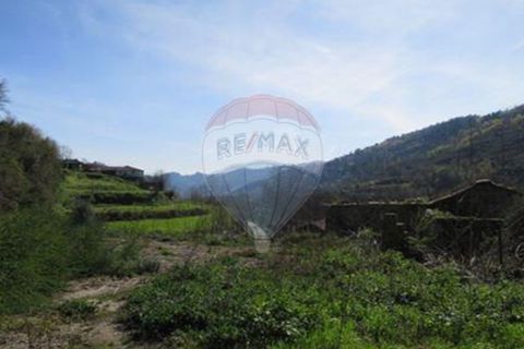 Villa i Cacarilhe e Infesta, Braga, Cacarilhe e Infesta - € 41.000 | Ref: 126221008-71 - foto 26
