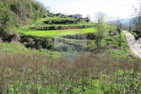 Villa i Cacarilhe e Infesta, Braga, Cacarilhe e Infesta - € 41.000 | Ref: 126221008-71 - foto 24